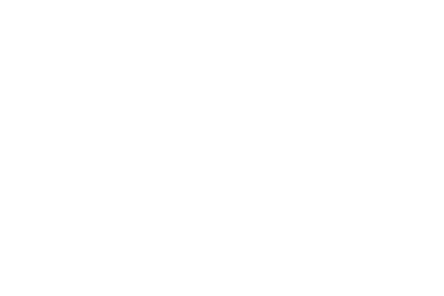 carport_icon_white