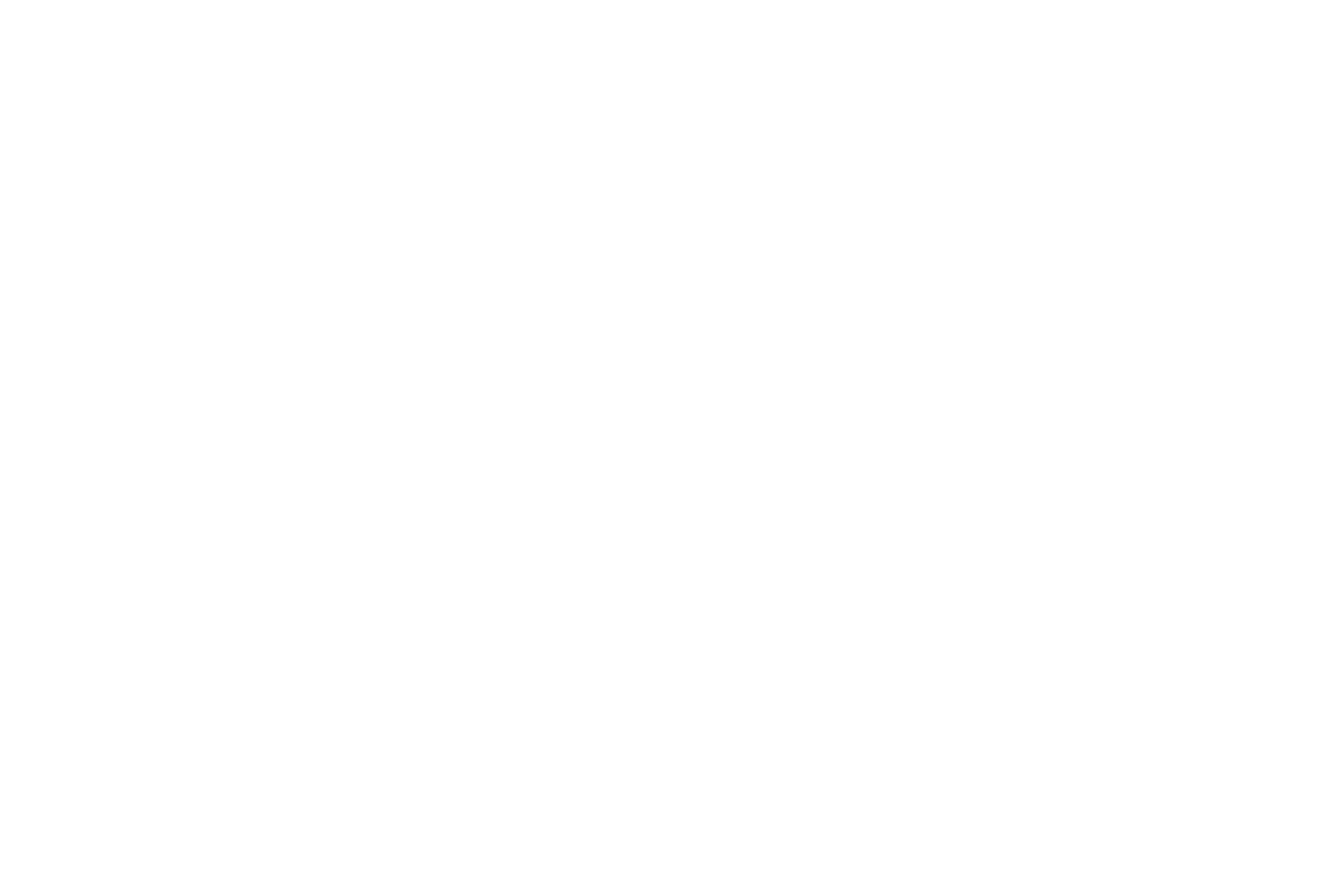 garage_icon_white